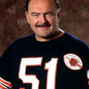 nfl-chicago-bears-dick-shirt.png