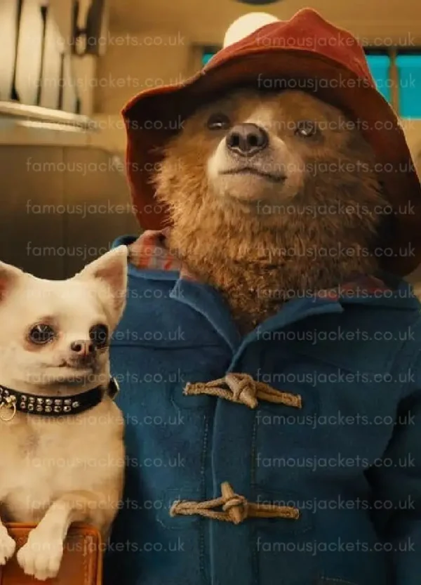 paddington-of-peru-blue-coat.webp